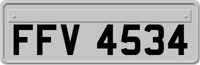 FFV4534
