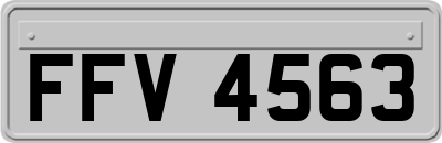 FFV4563