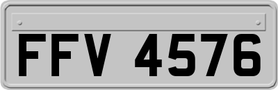 FFV4576