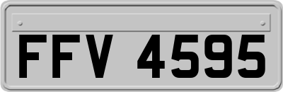 FFV4595