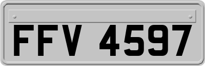 FFV4597