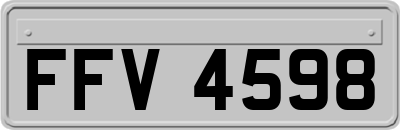 FFV4598