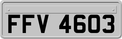 FFV4603