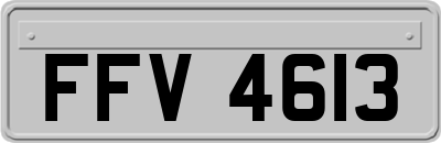 FFV4613