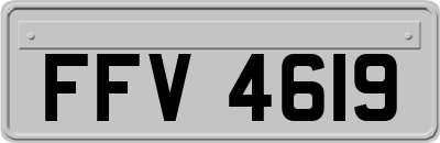 FFV4619