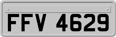 FFV4629