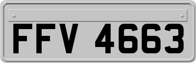 FFV4663