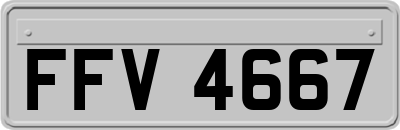 FFV4667