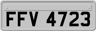 FFV4723