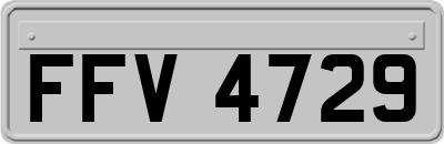 FFV4729