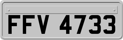 FFV4733