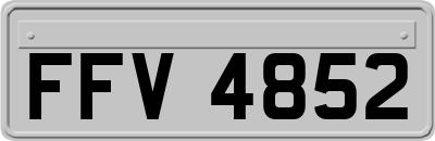 FFV4852