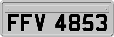 FFV4853