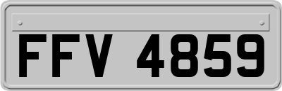 FFV4859