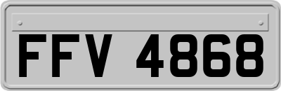 FFV4868