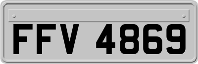 FFV4869
