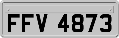 FFV4873