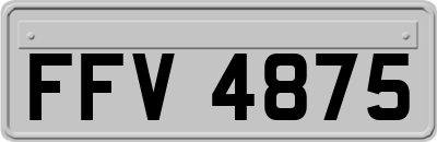 FFV4875