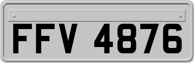 FFV4876