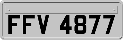 FFV4877