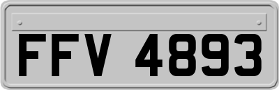 FFV4893