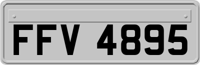 FFV4895