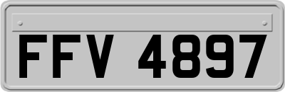FFV4897