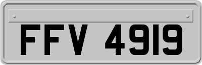 FFV4919