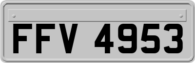 FFV4953