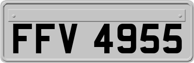 FFV4955
