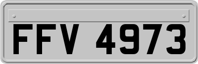 FFV4973