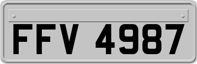 FFV4987