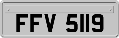 FFV5119