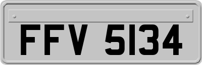 FFV5134