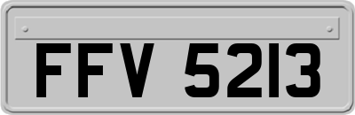 FFV5213
