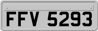 FFV5293