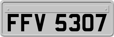FFV5307