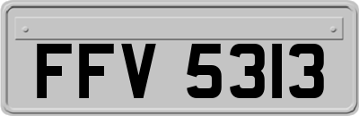FFV5313