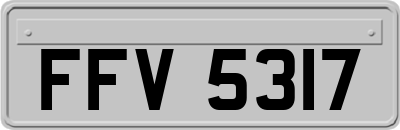 FFV5317