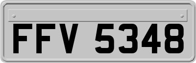 FFV5348
