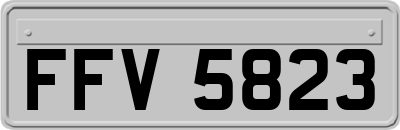 FFV5823