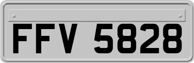 FFV5828
