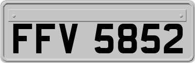 FFV5852