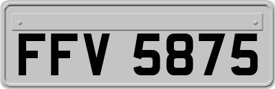 FFV5875
