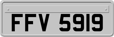 FFV5919