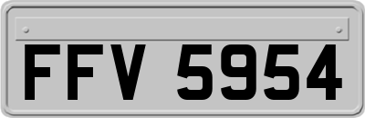 FFV5954