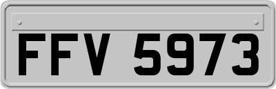 FFV5973