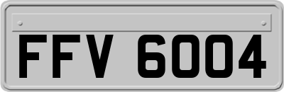 FFV6004