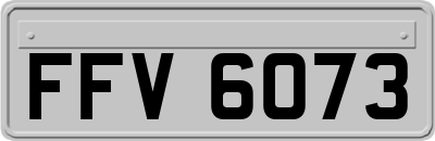 FFV6073