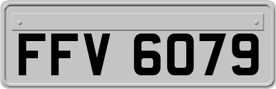 FFV6079